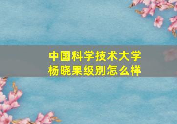 中国科学技术大学杨晓果级别怎么样