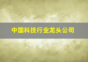 中国科技行业龙头公司