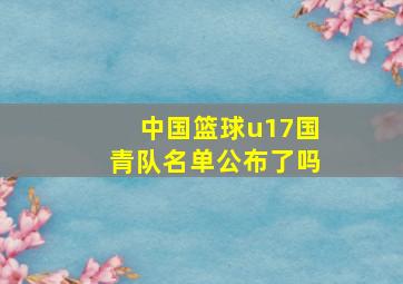 中国篮球u17国青队名单公布了吗