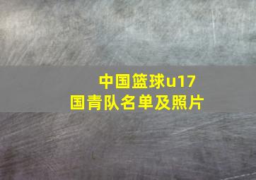 中国篮球u17国青队名单及照片