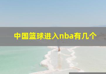 中国篮球进入nba有几个