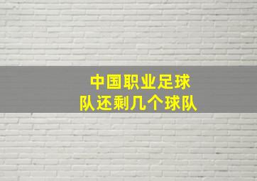 中国职业足球队还剩几个球队