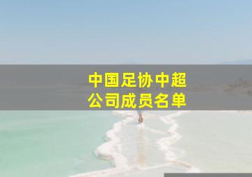 中国足协中超公司成员名单