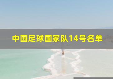 中国足球国家队14号名单