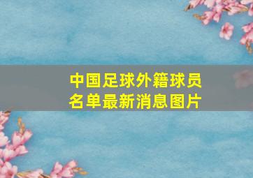 中国足球外籍球员名单最新消息图片