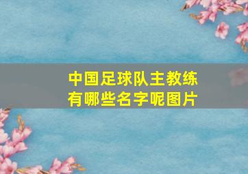 中国足球队主教练有哪些名字呢图片