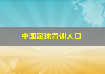 中国足球青训人口