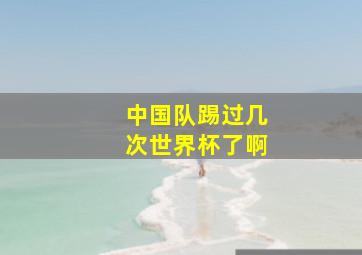 中国队踢过几次世界杯了啊