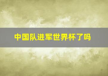 中国队进军世界杯了吗