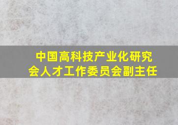 中国高科技产业化研究会人才工作委员会副主任