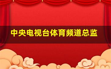 中央电视台体育频道总监