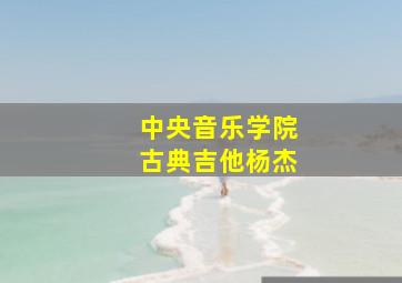 中央音乐学院古典吉他杨杰