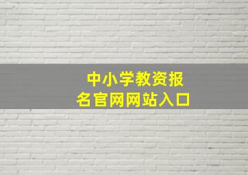 中小学教资报名官网网站入口