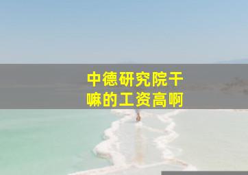 中德研究院干嘛的工资高啊