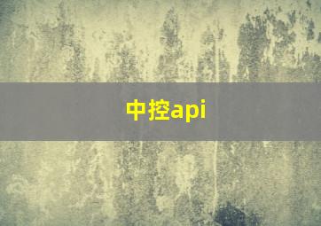 中控api