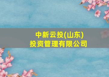 中新云投(山东)投资管理有限公司