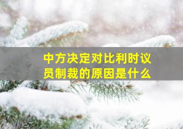 中方决定对比利时议员制裁的原因是什么