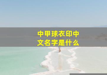 中甲球衣印中文名字是什么