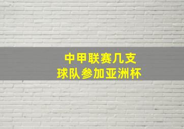 中甲联赛几支球队参加亚洲杯