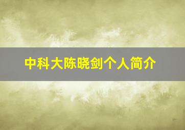 中科大陈晓剑个人简介