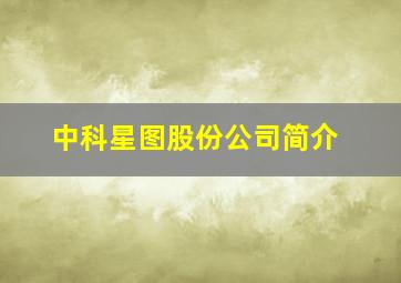 中科星图股份公司简介