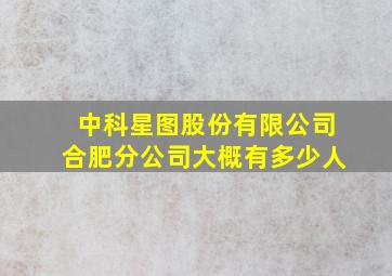 中科星图股份有限公司合肥分公司大概有多少人