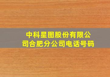 中科星图股份有限公司合肥分公司电话号码