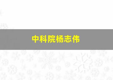 中科院杨志伟