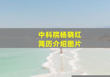 中科院杨晓红简历介绍图片