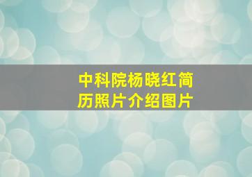 中科院杨晓红简历照片介绍图片