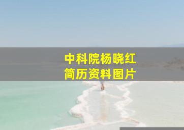 中科院杨晓红简历资料图片