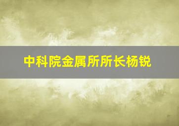 中科院金属所所长杨锐