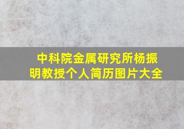 中科院金属研究所杨振明教授个人简历图片大全