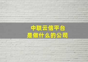 中联云信平台是做什么的公司