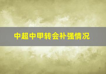 中超中甲转会补强情况