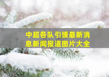 中超各队引援最新消息新闻报道图片大全