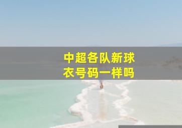 中超各队新球衣号码一样吗