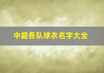 中超各队球衣名字大全