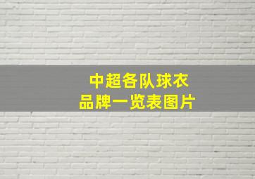 中超各队球衣品牌一览表图片