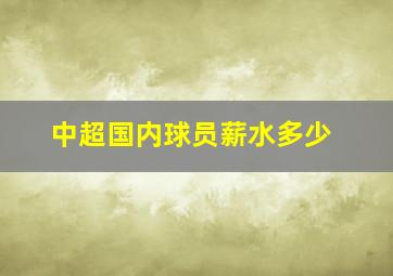 中超国内球员薪水多少