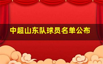 中超山东队球员名单公布