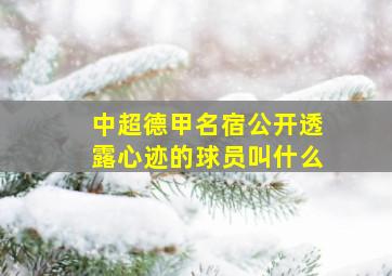 中超德甲名宿公开透露心迹的球员叫什么