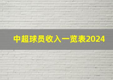 中超球员收入一览表2024