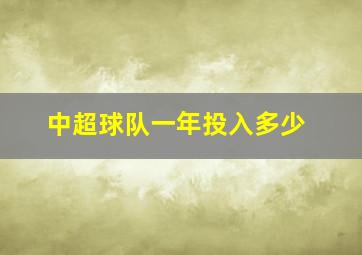 中超球队一年投入多少