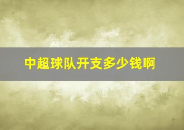 中超球队开支多少钱啊