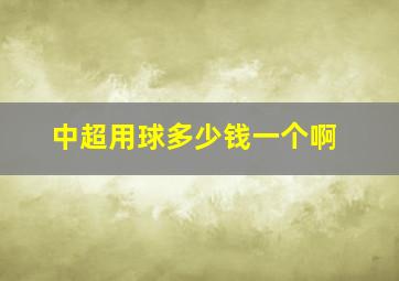 中超用球多少钱一个啊