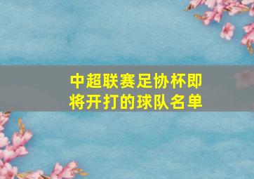 中超联赛足协杯即将开打的球队名单