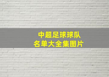 中超足球球队名单大全集图片