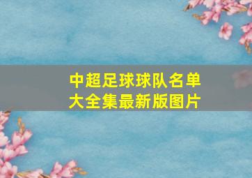 中超足球球队名单大全集最新版图片