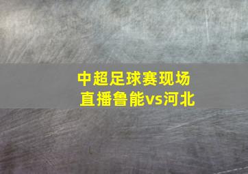 中超足球赛现场直播鲁能vs河北